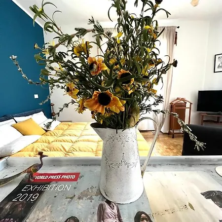 Pine Art House - Relax Creativo *